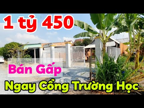 Bán Gấp: nhà đất đẹp 277m2 nở hậu giá 1 tỷ 450 triệu gần Chợ Trường Lưu phường Long Hoa Tây Ninh