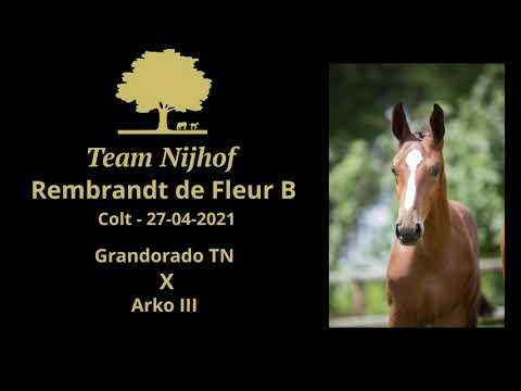 Rembrandt de Fleur B