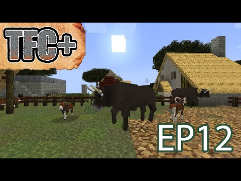 Terrafirmacraft+ Episode 12: We Back