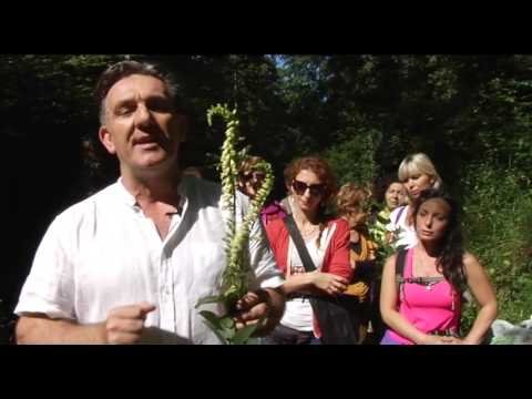 Unguento per il trattamento del ginocchio Il mal di schiena Video LFK