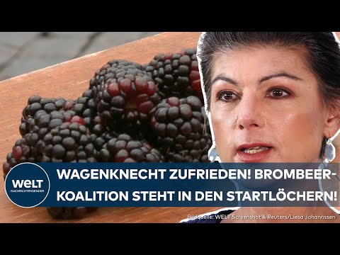Video Thumbnail: THÜRINGEN: Brombeer-Regierung muss sich nun beweisen! Das sagt Wagenknecht zu Koalitionsvertrag
