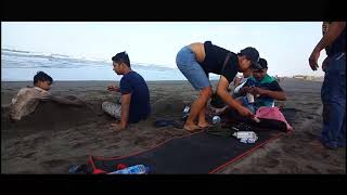Download lagu Story wa dipinggir pantai bersama teman mp3