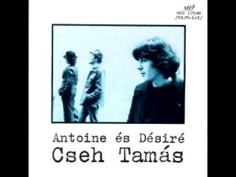 Antoine és Désiré történelemkönyve