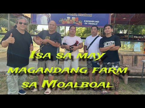 EP619 part 1: Isa sa may  magandang farm sa Moalboal Cebu