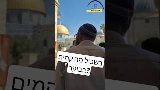 בשביל מה קמים מוקדם בבוקר? #הרהבית (ישיבת הר הבית) - התמונה מוצגת ישירות מתוך אתר האינטרנט יוטיוב. זכויות היוצרים בתמונה שייכות ליוצרה. קישור קרדיט למקור התוכן נמצא בתוך דף הסרטון בשביל מה קמים מוקדם בבוקר? #הרהבית (ישיבת הר הבית) - התמונה מוצגת ישירות מתוך אתר האינטרנט יוטיוב. זכויות היוצרים בתמונה שייכות ליוצרה. קישור קרדיט למקור התוכן נמצא בתוך דף הסרטון