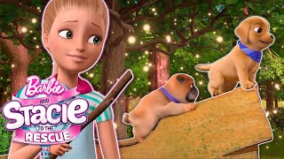 Barbie and Stacie to the Rescue (2024) Video