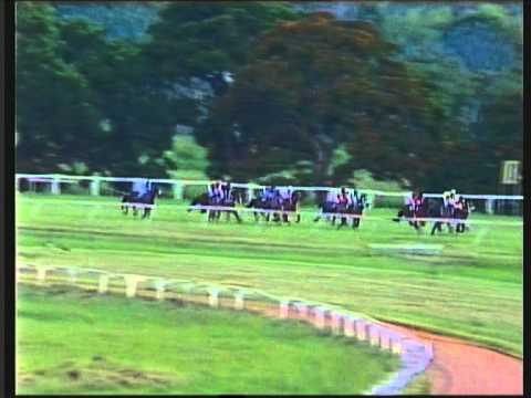 Borrowdale 8 February 2015, Race 6