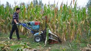 Corn reaper machine for maize harvesting