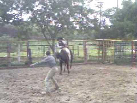 Treino De Ananias Emiliano