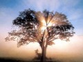 Gary Allan -We Touched The Sun- (lyrics)