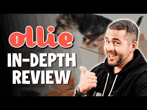 Ollie Dog Food Review 2026: Is Human-Grade Food Best For Your Dog?