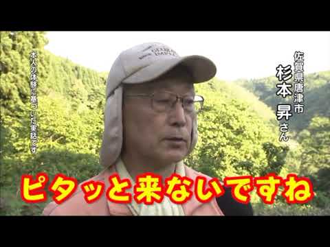 強力なイノシシ忌避剤 匂い 騒音を怖がらせる 野生の豚を庭から駆除する デビッド・ドーナル シャッターストック