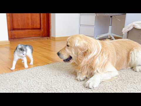 YouTube 썸네일