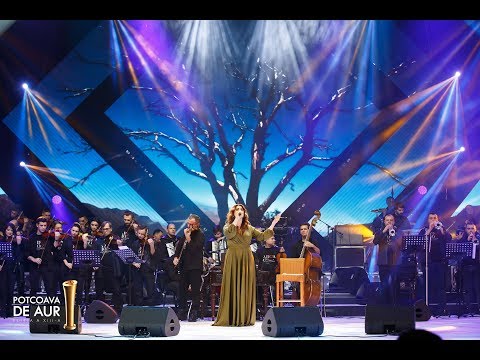 CRISTINA PINTILIE - Copacul #potcoavadeaur