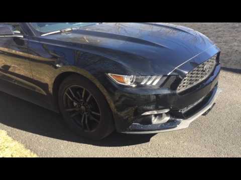 2017 mustang: hit and run!