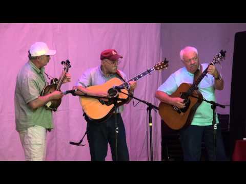 2014-04-12 Twin Instrument (Any Age) Tom Spence / Jerry Rose - CPAC Strings Jamboree 2014