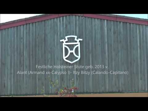 Festliche v. Alant, a.d. Itzy Bitzy v. Calando I- Capitano- Follywise xx