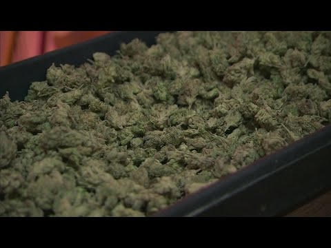 What does the rescheduling of cannabis mean?