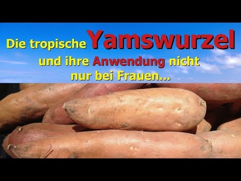 Die tropische Yamswurzel und ihre Anwendung nicht nur bei Frauen