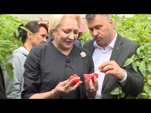 5/15/19: Tomșani - Vizita sere de legume