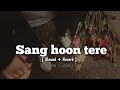 Sang hoon tere ( slowed + reverb ) || sang hoon tere lofi || Nikhil D'souza || @sriaesthetic6696