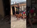 Shuduza