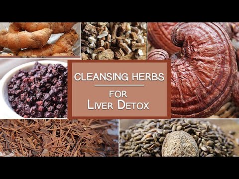 download lagu mp3 mp4 Chinese Herbs To Cleanse Blood, download lagu Chinese Herbs To Cleanse Blood gratis, unduh video klip Chinese Herbs To Cleanse Blood