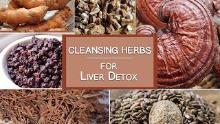 Cleansing Herbs for the Liver and More - Super Healing Herbs for Detoxification