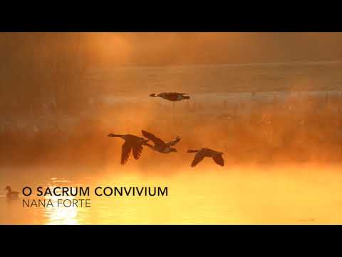 Nana Forte: O Sacrum Convivium for double mixed choir (from Four Sacred Pieces)