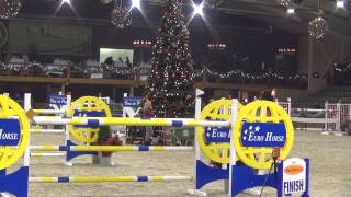 Video von Compadre van de Helle