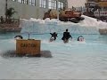 Camelback Aquatopia Owners Jump Into Wave Pool