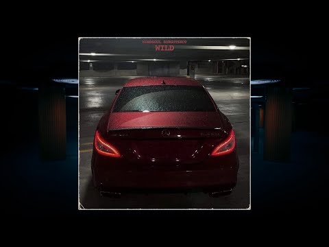 [FREE] MACAN x Mr Lambo x Xcho Type Beat - "Wild"