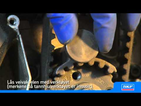 SKF Registerremsett med vannpumpe VKMC 01250-1 VW Passat