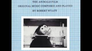 Robert Wyatt - The Animals Film