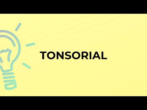 Define Tonsorial
