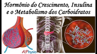 GH, Insulina e o Metabolismo dos Carboidratos