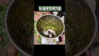 닭들에게 여름 보양식을 만들어 줬어요 #첼리팜스토리