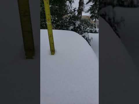 Seattle Snowmaggedon 2021! how much snow fell in 12 hours?