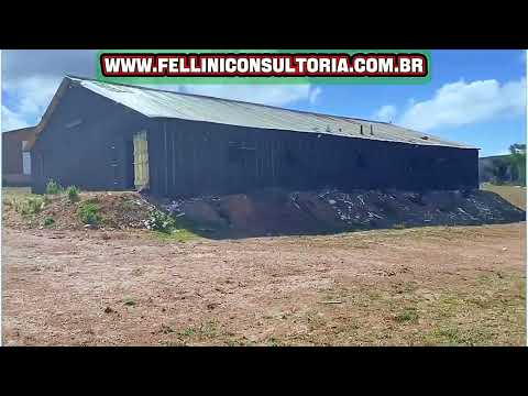 197 HECTARES VENDO , JA TEM 80 DE LAVOURA , ENCRUZILHADA DO SUL RS 