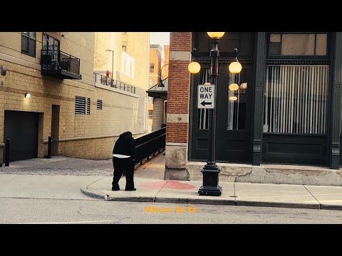 Gency Lynch - Misusu (Visualizer)