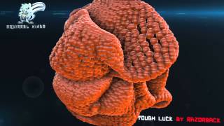 Tough Luck by Razorback (Rockstep) | Bonus Track | Free Download