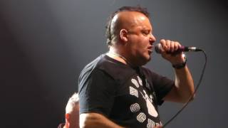 Peter and the test tube babies The jinx live at the Ritz Manchester 03 June 2017