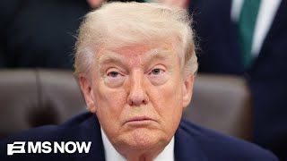'Political quagmire': Trump's approval rating at an all-time low
