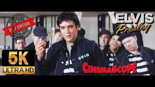 Elvis Presley AI 5K Colorized &quot;New Algorithm&quot; /Restored - Jailhouse Rock V2