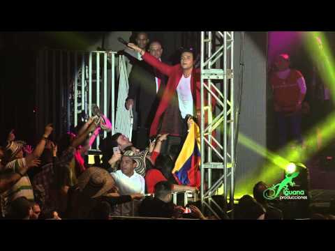 Ni Punto De Comparación Chile... Silvestre Y Lucas Dangond