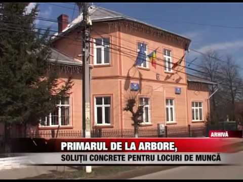 Primarul de la Arbore - soluții concrete pentru locuri de muncã