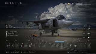 CoD:MW FPSリハビリ
