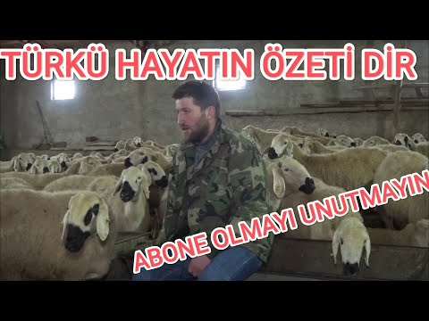 ELBET BİRGÜN BU KIŞ BİTER YAZ GELİR ( Türkülerin çobanı TARIK KARA)
