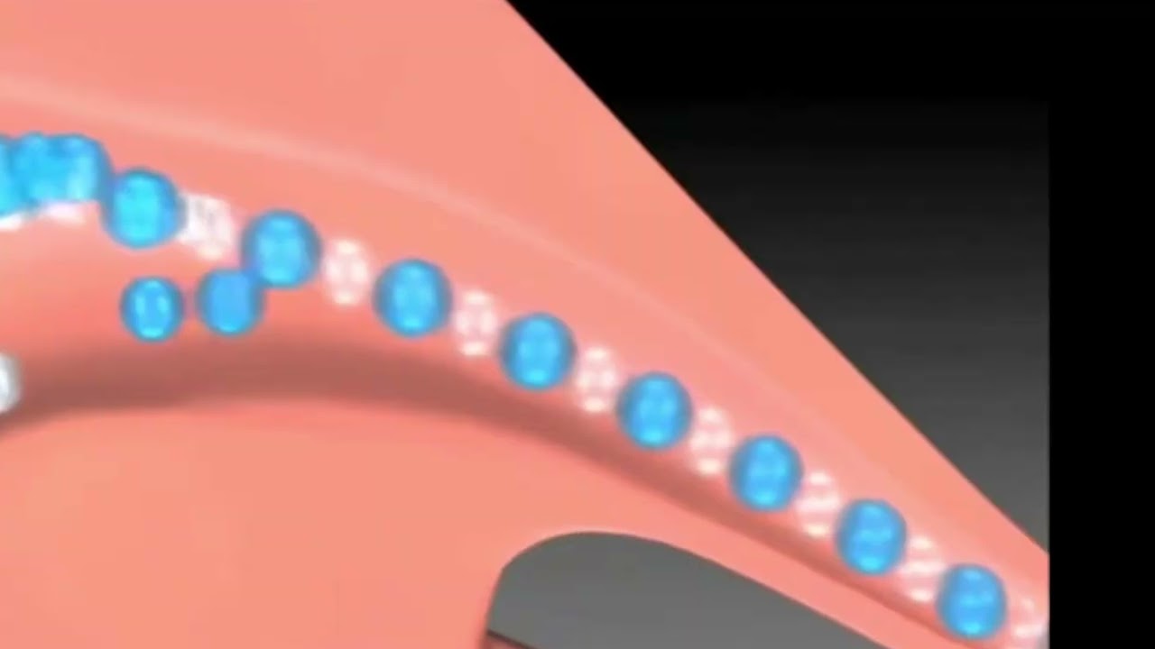 Antonella Napolitano-33