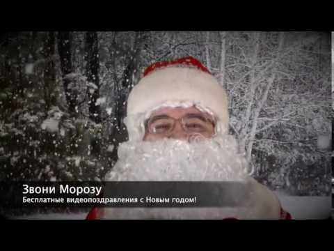 Звони Морозу